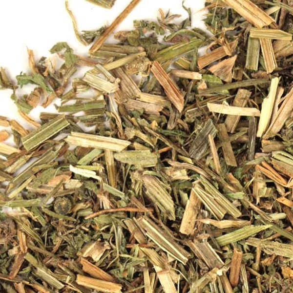 cleavers-herb-information-order-bulk-cleavers-herb