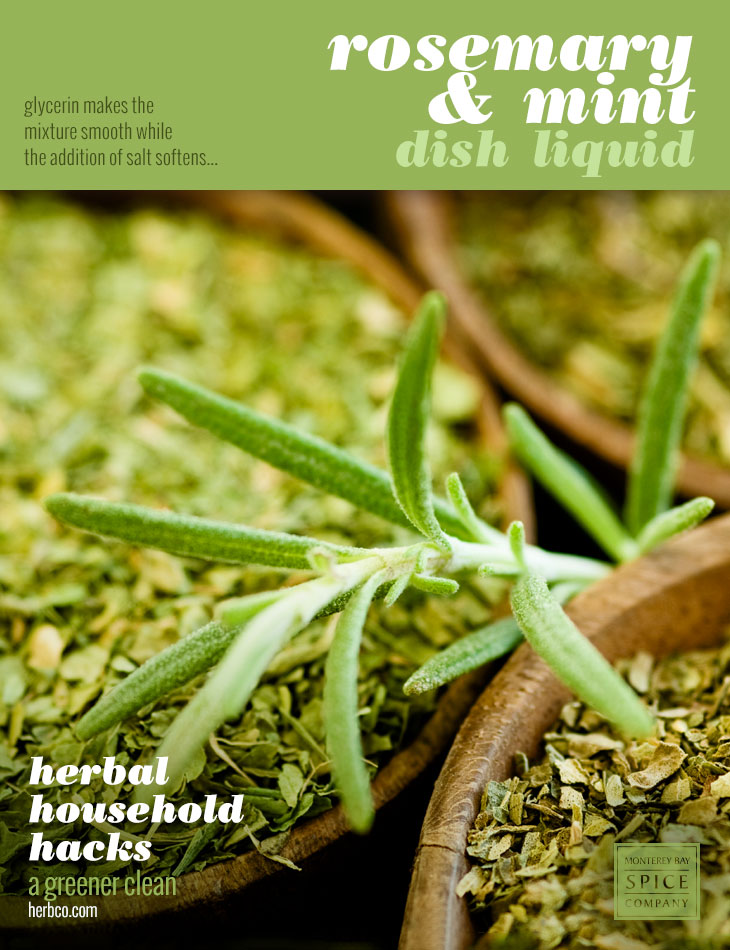 [ DIY Recipe: Rosemary & Mint Dish Liquid ] ~ from Monterey Bay Herb Co