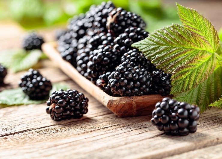 Blackberries