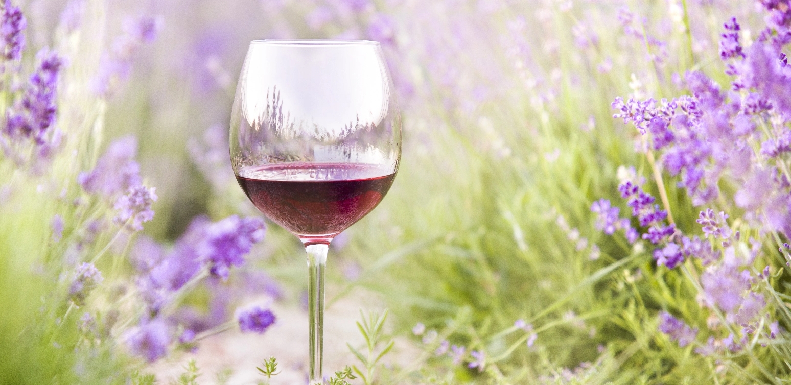 A glass of herbal wine