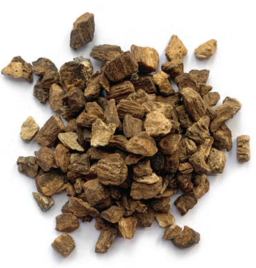 burdock root