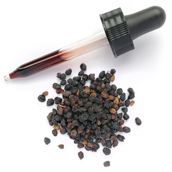 bulk elderberry