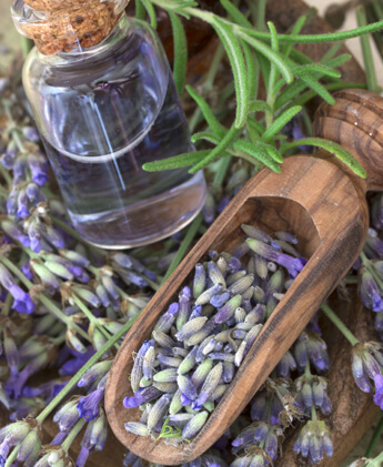 herbal wood polish