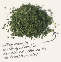 [ tip: Partner tarragon with chervil when seasoning soups, stews and sauces.   ~ from Monterey Bay Herb Company ]