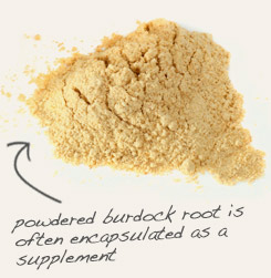 [ tip: Combine powdered slippery elm bark with powdered burdock root in capsule form. ~ from Monterey Bay Herb Company ]