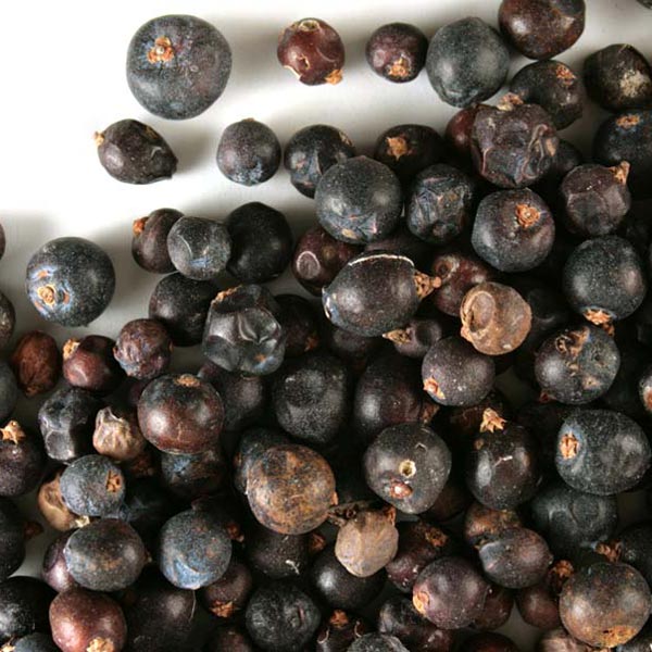 Juniper Berries, Organic (Bulk)