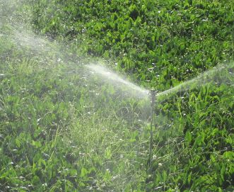sprinkler